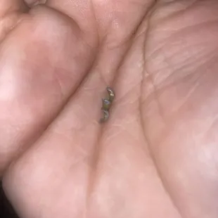 Screw found in food. Was told I would get a full refund and only got back $12 which the pizza cost $18.