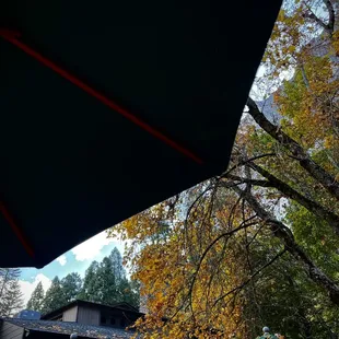 You can enjoy your pizza under this umbrella with these views.