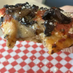 Pizza Funghi