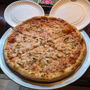 Medium cheese w/ mushroom