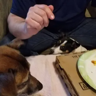 LOL, even Isabella(left) and Hannah(center) want some yummy pizza. They are bugging the hubby for some. Ha