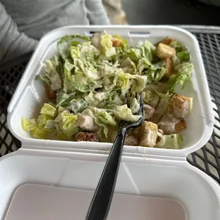 Cesar Salad