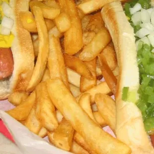 a hot dog and french fries