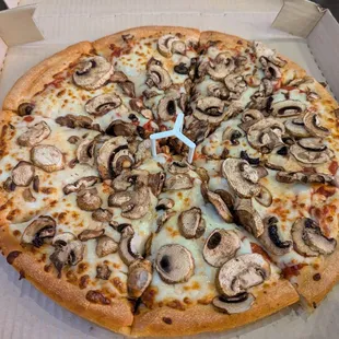 Mushroom pizza pan style