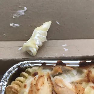 Hair in the pasta