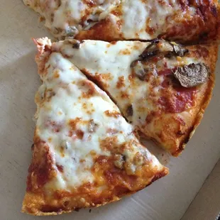 I Asked for mushrooms and pepperoni and they sent me this