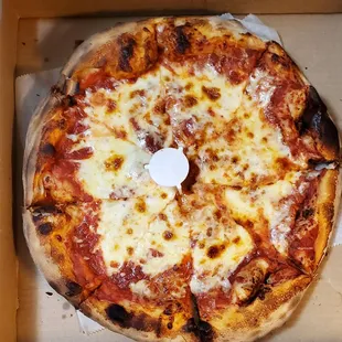 Medium cheese pizza