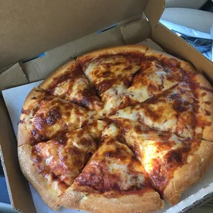 Plain medium pizza