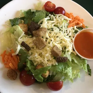 Garden Salad