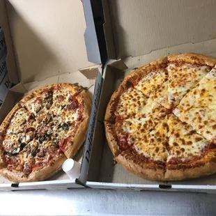 12 Medium Kingdom Cheese Pizza