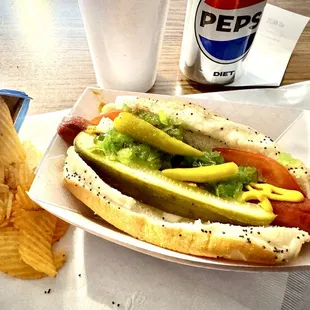 Chicago Dog