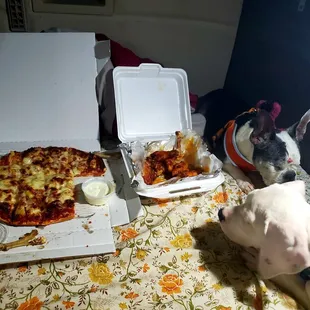 a dog and a pizza