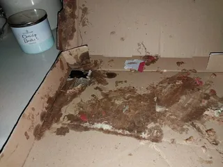 Santo's Pizza