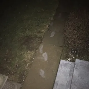 pizza, outside