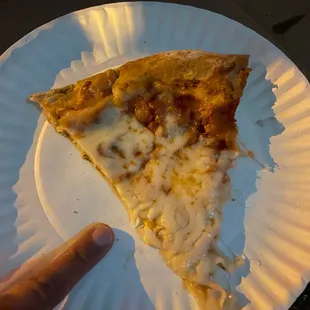 teeny baby pizza they call "large" on the menu