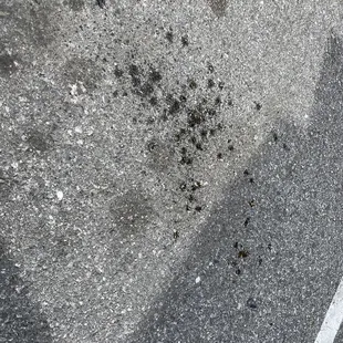 Grease from the pizza