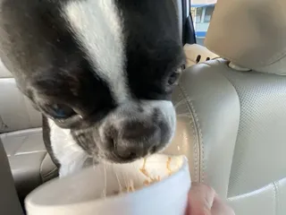 Nana & Pap's Pizzeria & Ice Cream