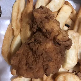 The tenders. Im showing a good picture of the fries, the others were burned too.