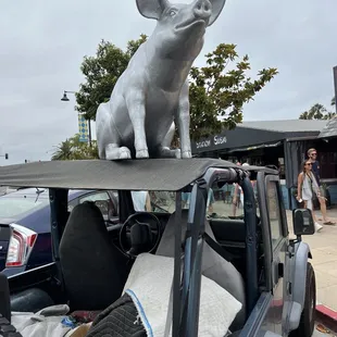 a pig on top of a car