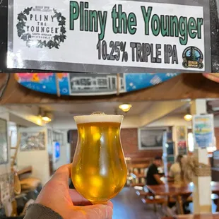 Annual Pliny the Younger pilgrimage