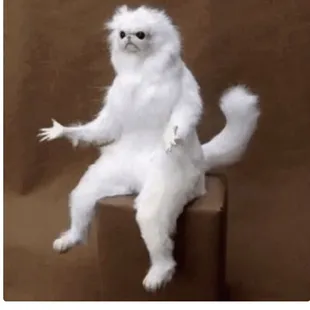 My reaction