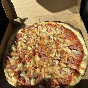 Hawaiian pizza 1.13.23