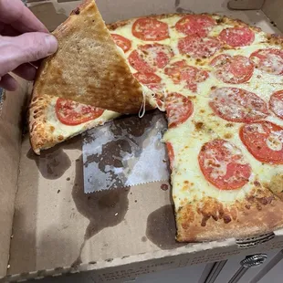 White pizza with tomatoes.  Crust cooked perfect