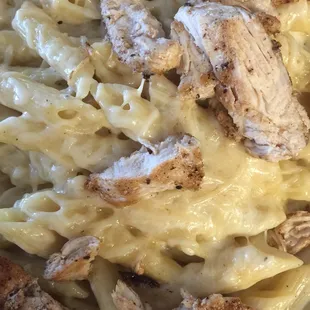 Must have chicken Alfredo