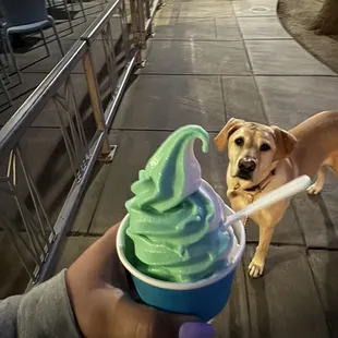 Baja blast &amp; vanilla swirl