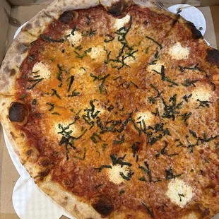 Margherita pizza
