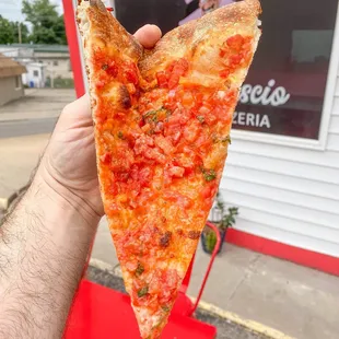 a hand holding a slice of pizza