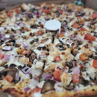 Chicken Garlic Sauce pizza!