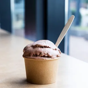 Madagascar Dark Chocolate gelato