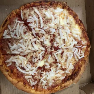 Cheese pizza with onions