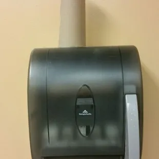 Yes, this is the paper towel.  A partial roll sitting on top of an empty dispenser.