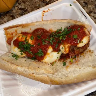 Meatball Hero!!! Also a dam good one!!