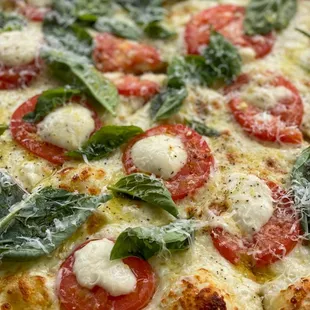 Margherita Pizza