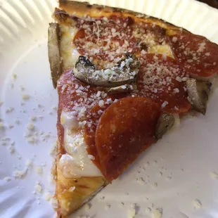 a slice of pizza on a paper plate