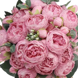 Pinkpeony L.