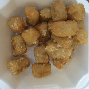Nasty garlic tots, mushy, bitter and greasy