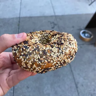 Everything bagel