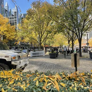 Looking from the patio out to the square.