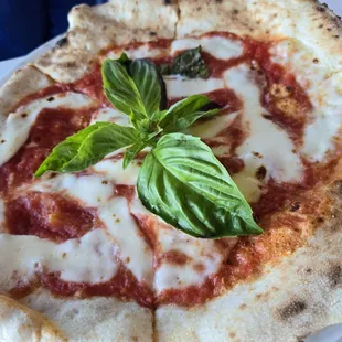 Margherita  pizza