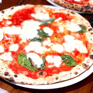 Margherita Pizza