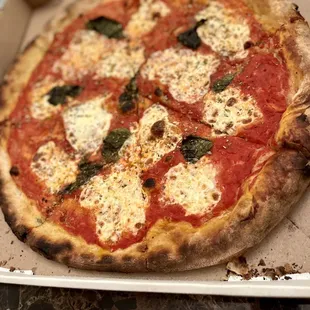 Margherita Pizza - Large