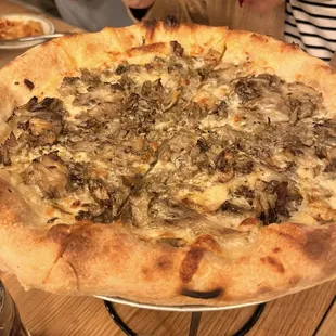 Funghi