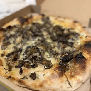 Funghi