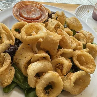 Fried Calamari