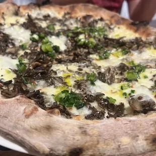 Kennet Square Maitake