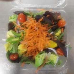 garden salad w/spring maix